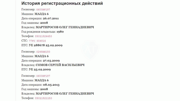 Отчеты AVinfo, содержащие имя владельца транспортного средства