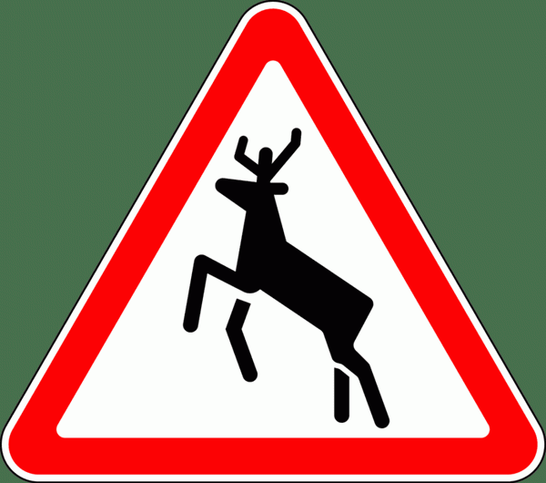 Такие знаки устанавливаются в лесополосах или в местах, где дикие животные могут выйти на дорогу. Они являются лишь предупреждением, и водители не обязаны снижать скорость.