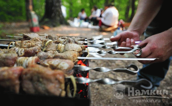 Где можно приготовить шашлык на природе без штрафа