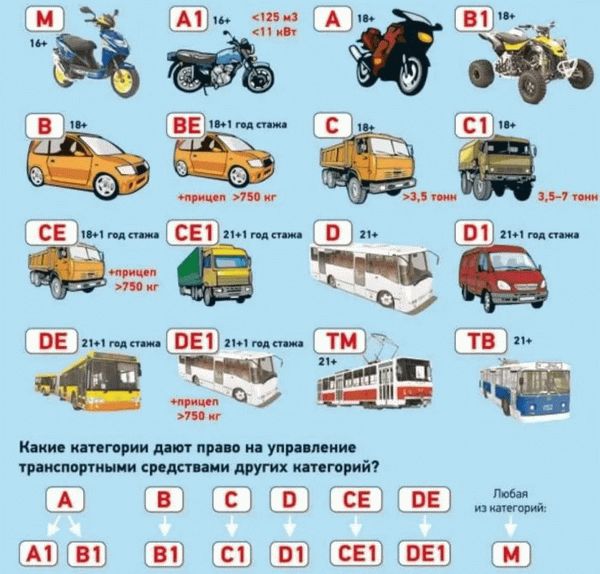 Электрические скутеры без водительского удостоверения