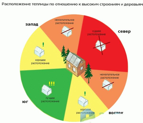 Правильная планировка теплицы в мировом аспекте