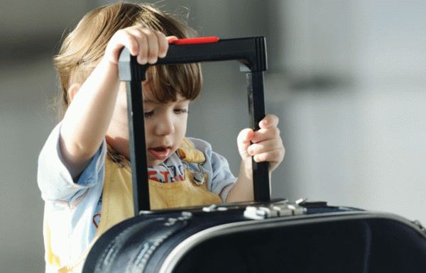 Несопровождаемый багаж для младенцев, S7 Airlines