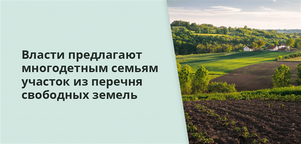 Местные власти предоставляют многодетным семьям участки из списка бесплатно