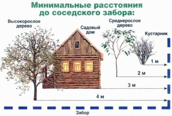 Диаграмма расстояния от дерева до дерева